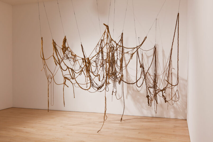 Eva Hesse (1936–1970).  No title, (1969–1970).  Latex, rope, string, and wire, Dimensions variable / Whitney Museum of American Art, New York; purchase, with funds from Eli and Edythe L. Broad, the      Mrs. Percy Uris Purchase Fund, and the 	Painting and Sculpture Committee  88.17a b     © Estate of Eva Hesse; courtesy Hauser & Wirth.  