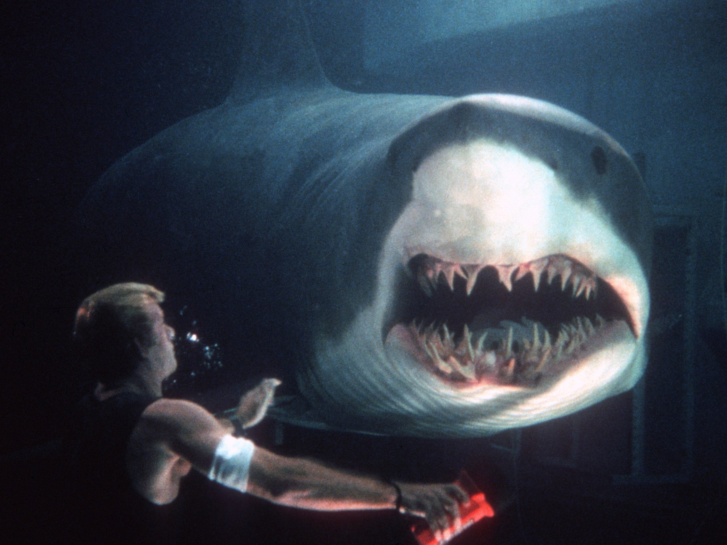 FLOOD - Every Shark Movie Is a Good Movie