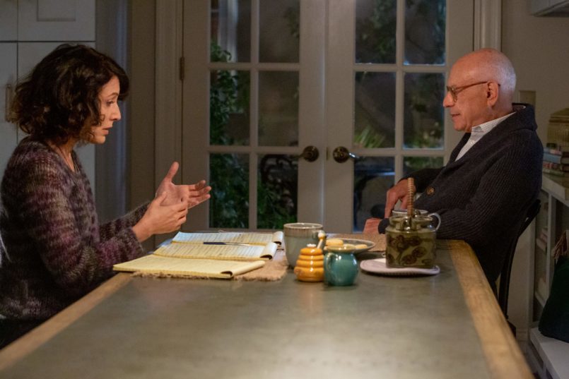 FLOOD - Lisa Edelstein Talks Grief, Comedy, and the In-Between in “The ...